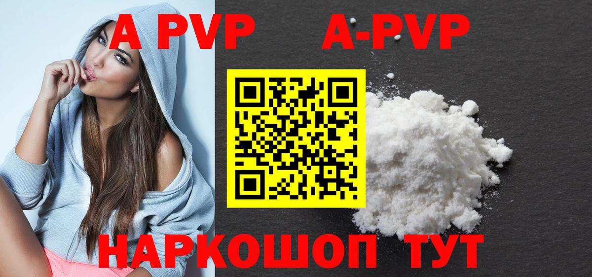 Alfa_PVP СК Коряжма