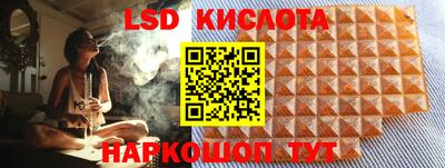 гидра Краснокаменск
