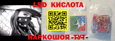 дмт Краснодар