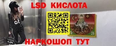 дмт Краснодар