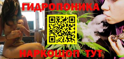 гидра Краснокаменск