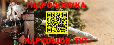 гидра Краснокаменск